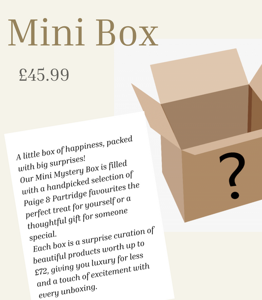 ✨MINI Mystery Box ✨